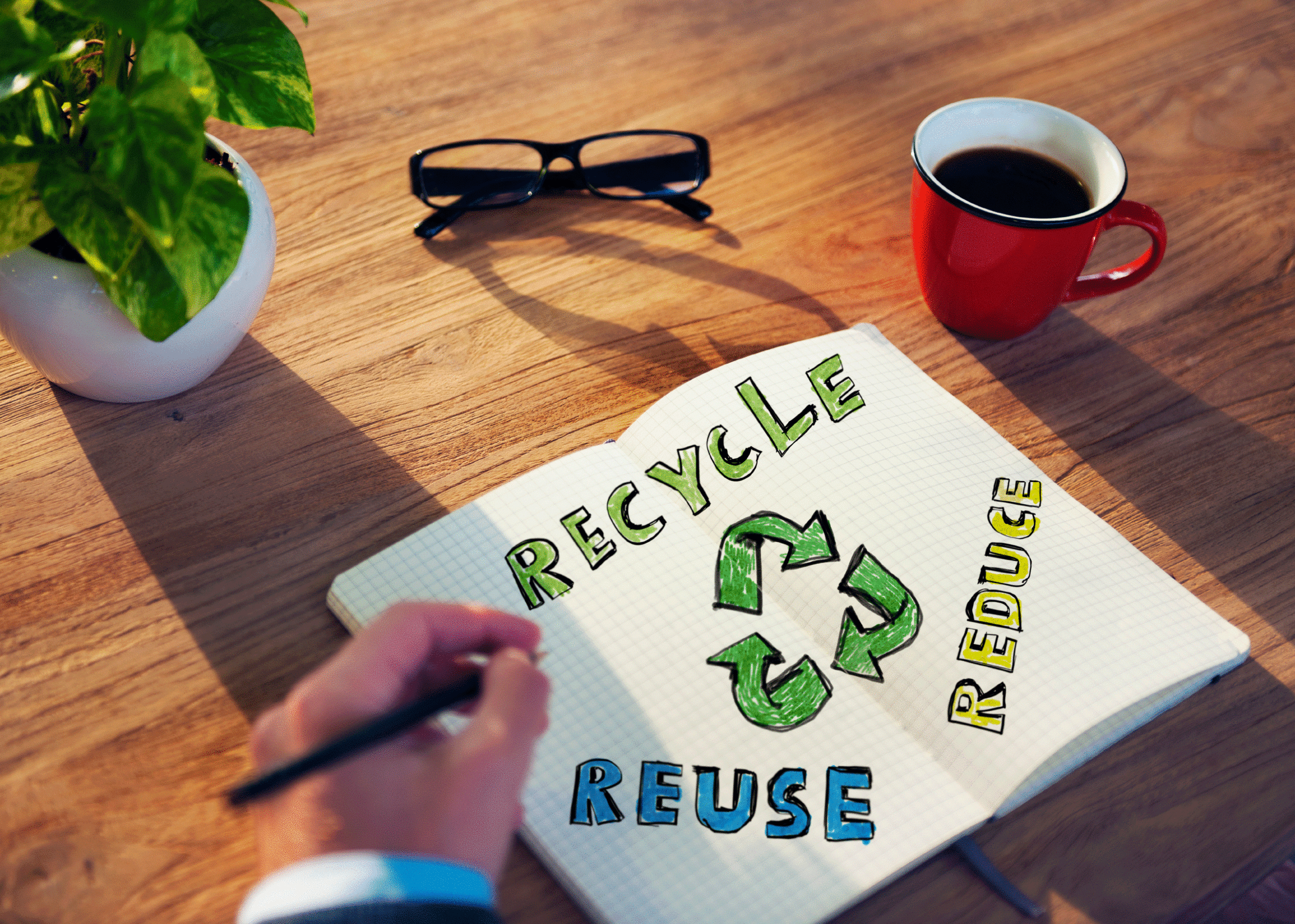 Sustainable procurement tips for the workplace