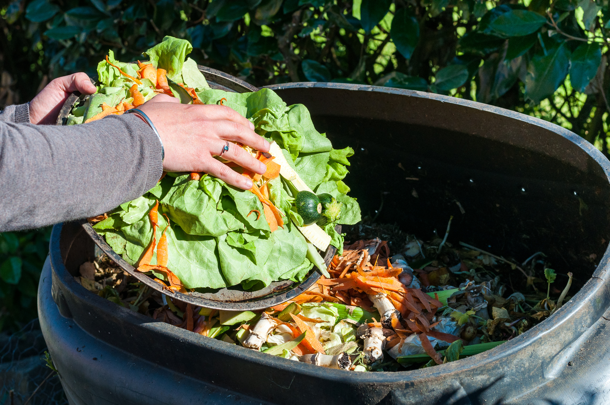 Worst food waste items to compost