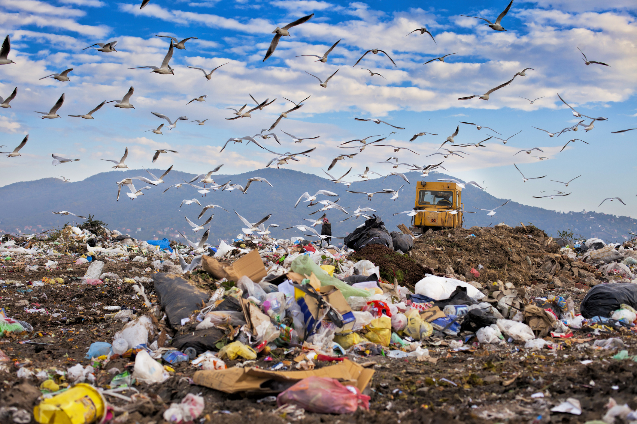 10 items to keep out of landfill