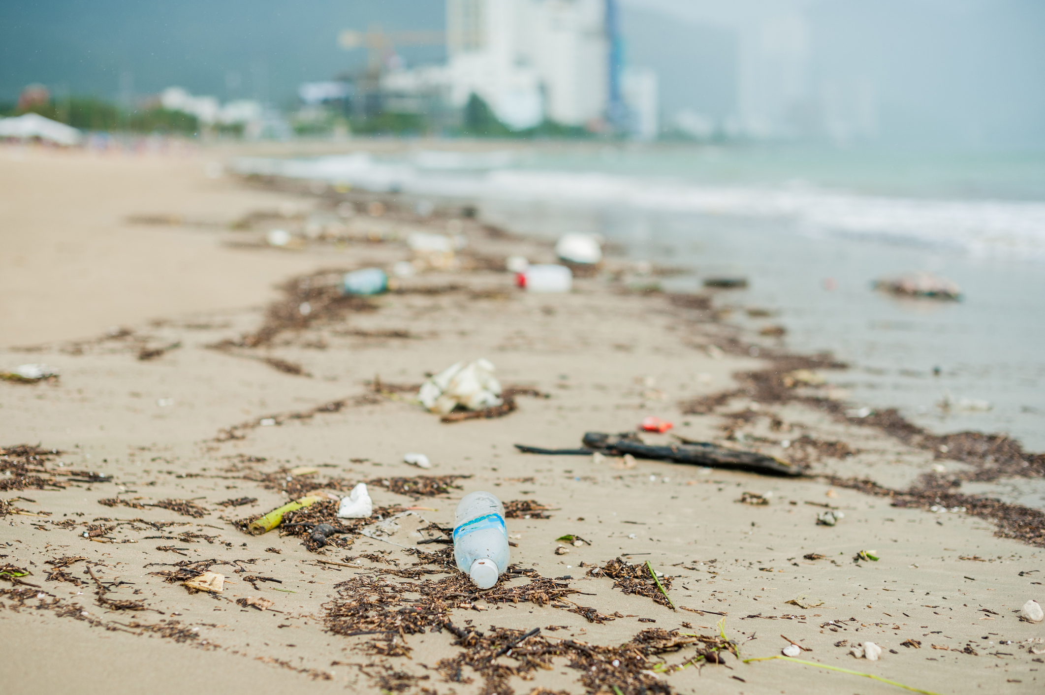 Beach Litter – your quick guide to responsible disposal