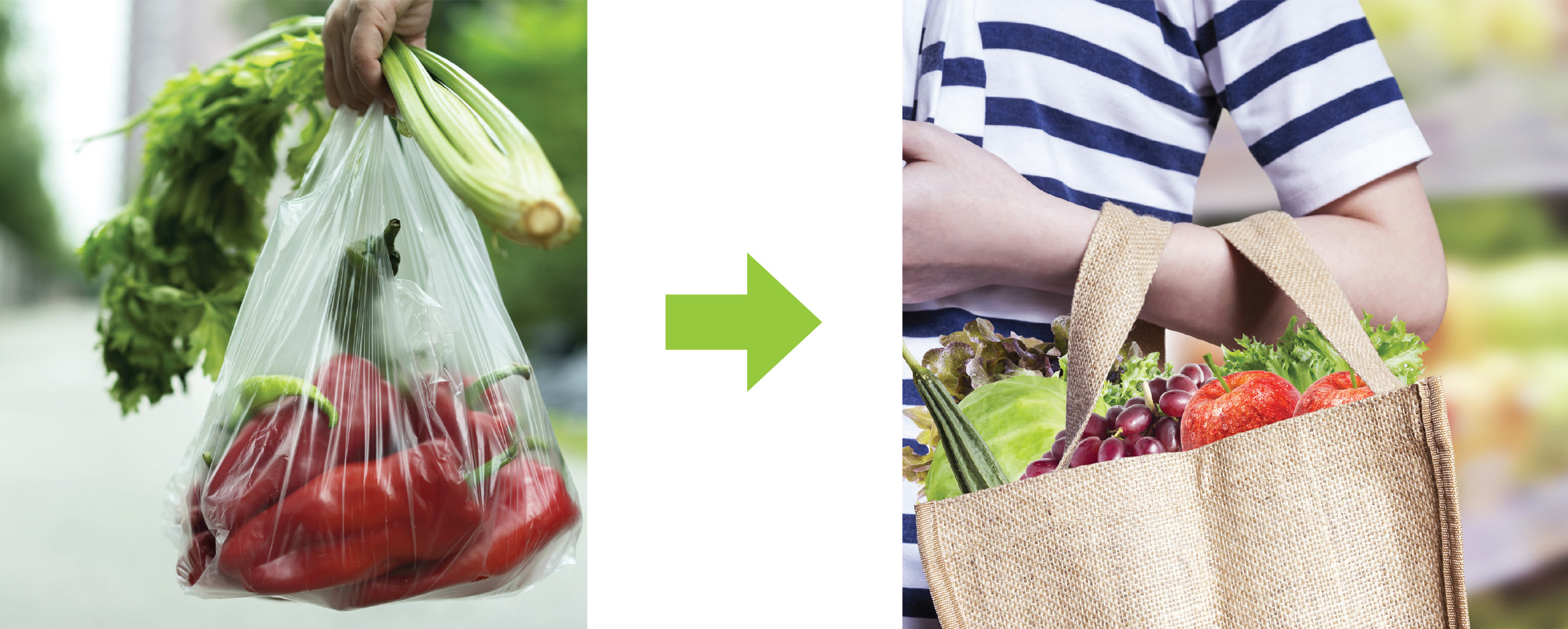 disposable plastic - plastic bags