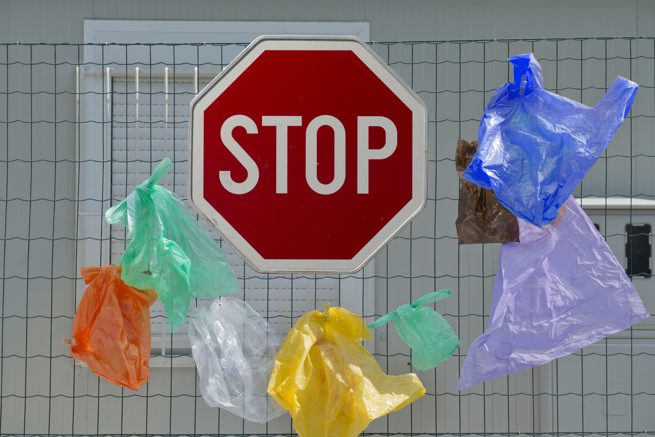 How to live without disposable plastic